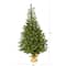 5ft. Pre-Lit Fraser Fir Artificial Christmas Tree, Clear LED Lights